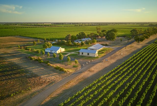 Aerial view of a vineyard as the sun is setting