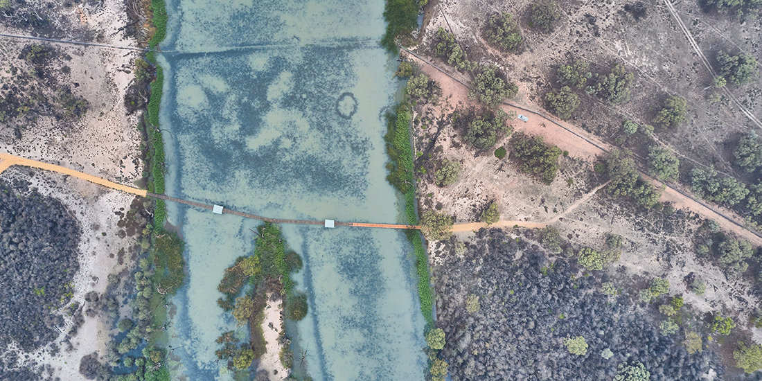 Overhead photo of a large river