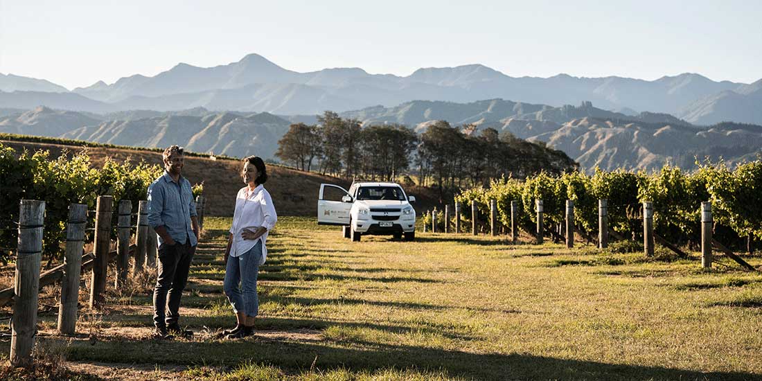 two winemakers stand in between rows of vine with a ute and mountains in the background